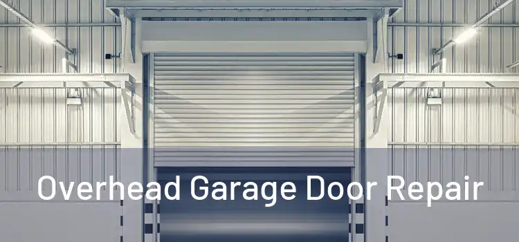 Overhead Garage Door Repair